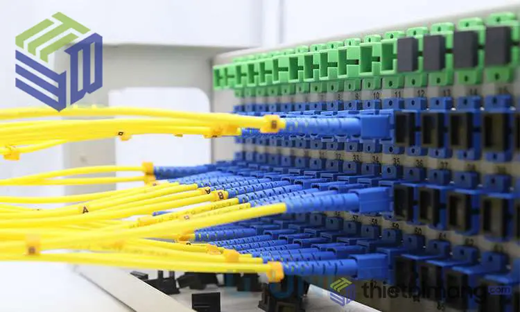 Adapter SC/UPC bên dưới và Adapter SC/APC lắp trong ODF