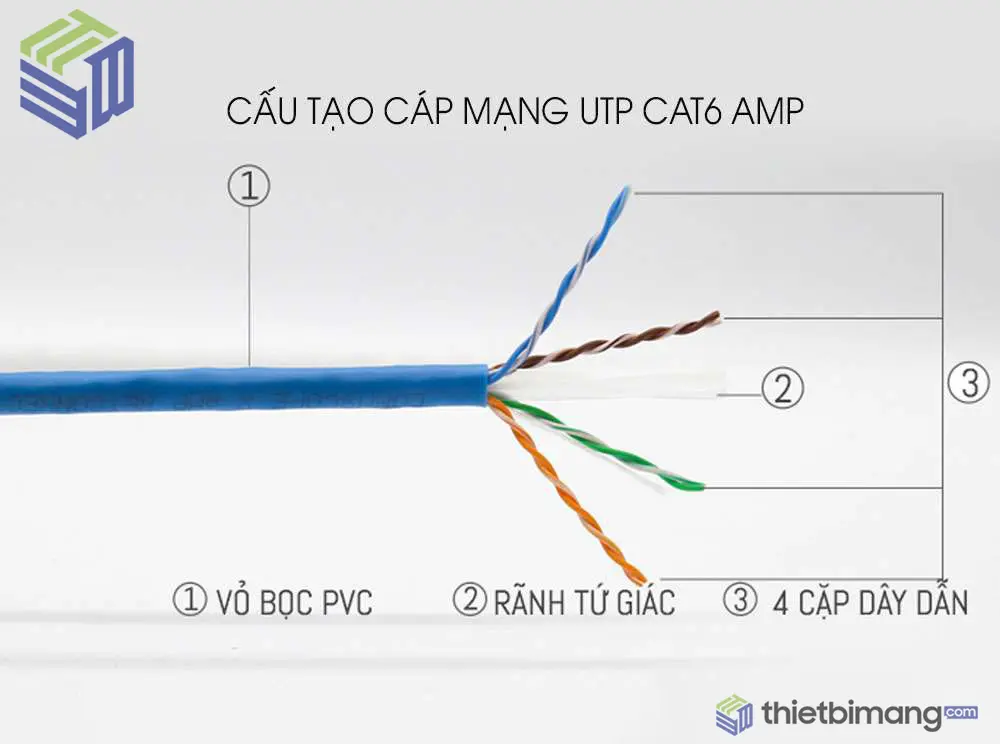 Cat6 AMP