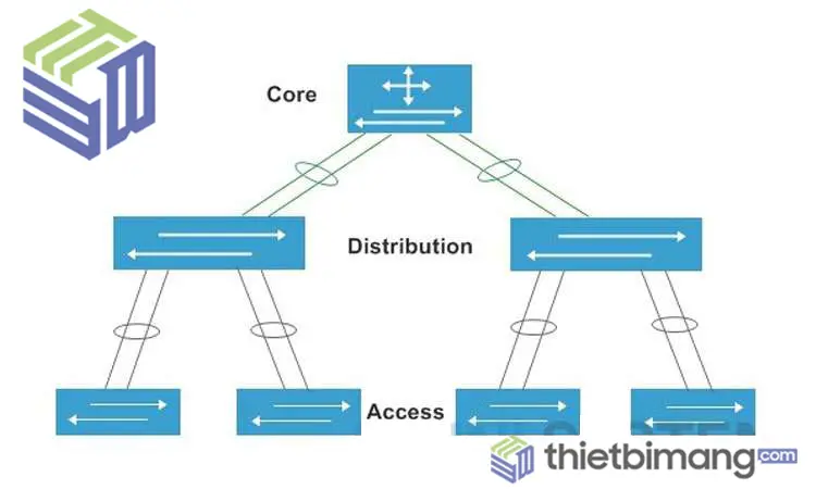 Core Switch và Switch Access