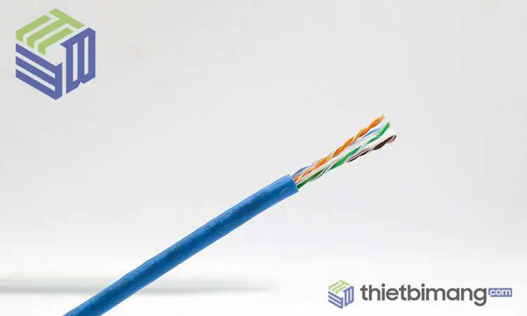 Dây cáp mạng COMMSCOPE AMP Cat6 chính hãng