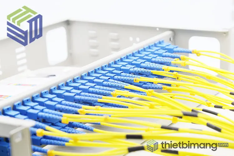 Hộp phối quang ODF 48FO lắp Adapter và dây nhảy quang