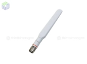 AIR-ANT2524DW-R
