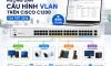 Hướng dẫn cấu hình VLAN trên Cisco C1200 chi tiết 2026