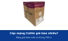 Cáp mạng Cat5e giá bao nhiêu 1 mét, 1 thùng 305 m? Bảng giá LS, AMP, Vinacap, CommScope