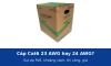 Cáp mạng Cat6 lõi 23 AWG hay 24 AWG: khác gì về PoE, khoảng cách, thi công và giá?