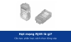 Hạt mạng RJ45 là gì? Cấu tạo, phân loại Cat5e, Cat6, Cat6A, chống nhiễu và cách chọn đúng cáp
