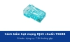 Cách bấm hạt mạng RJ45 chuẩn T568B đạt Gigabit và PoE: 8 bước, dụng cụ và 7 lỗi thường gặp