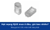 Hạt mạng RJ45 mua ở đâu, giá bao nhiêu một túi 100? Bảng giá CommScope, LS, Panduit và cách nhận biết hàng thật