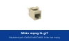 Nhân mạng là gì? Cấu tạo keystone jack Cat5e, Cat6, Cat6A và khác hạt mạng ở đâu