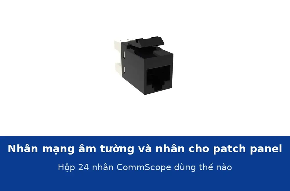 Nhân mạng âm tường và nhân mạng cho patch panel khác gì? Hộp 24 nhân CommScope dùng thế nào