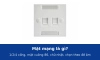 Mặt mạng là gì? Mặt 1, 2, 4 cổng âm tường, mặt vuông 86 và mặt chữ nhật: cách chọn theo đế âm