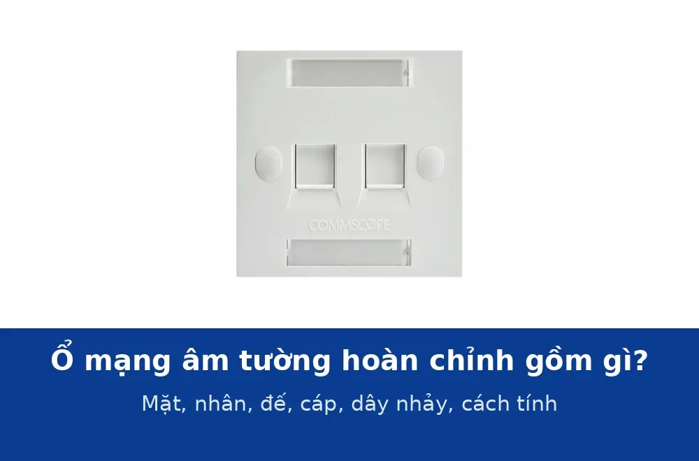 Ổ mạng âm tường hoàn chỉnh gồm những gì? Mặt mạng, nhân, đế âm, cáp, dây nhảy và cách tính cho văn phòng