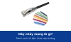 Dây nhảy mạng là gì? Patch cord khác cáp mạng thường ở đâu và vì sao phải dùng lõi bện