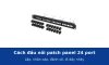 Cách đấu nối patch panel 24 port vào tủ rack: lắp, nhấn cáp, đánh số và đi dây nhảy