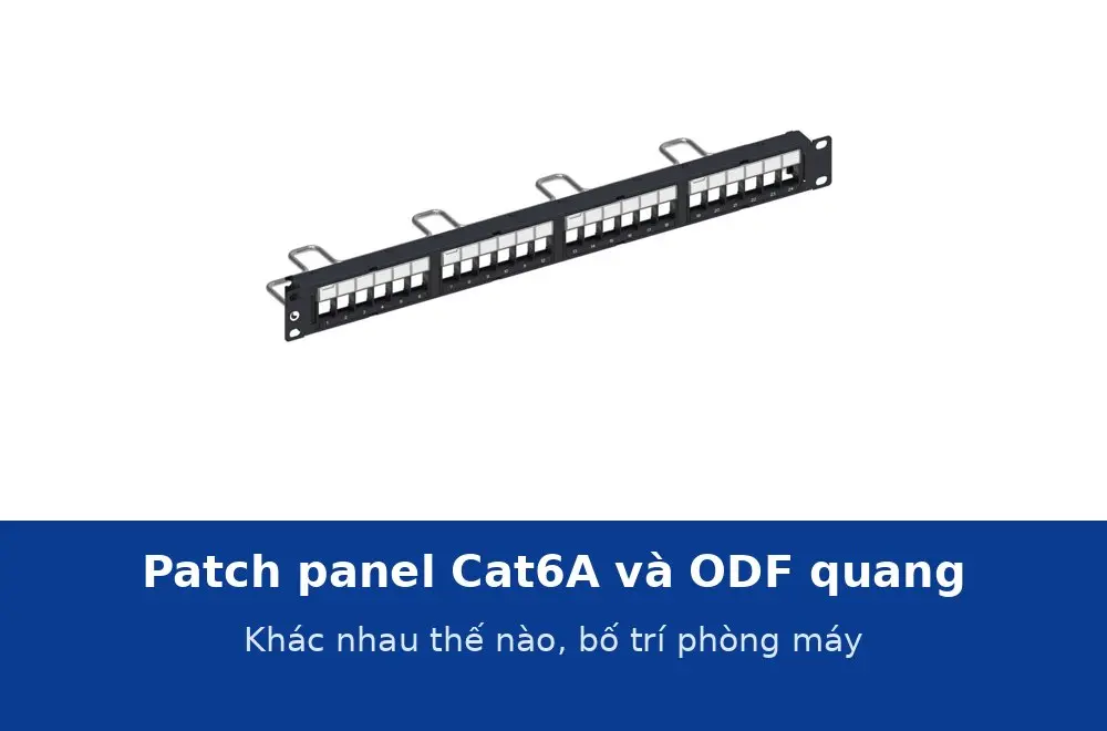 Patch panel Cat6A và hộp phối quang ODF trong tủ rack khác nhau thế nào? Bố trí cho phòng máy