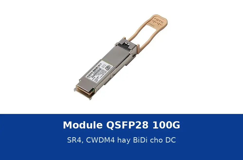 Module QSFP28 100G: SR4, CWDM4 hay BiDi cho trung tâm dữ liệu và switch lõi