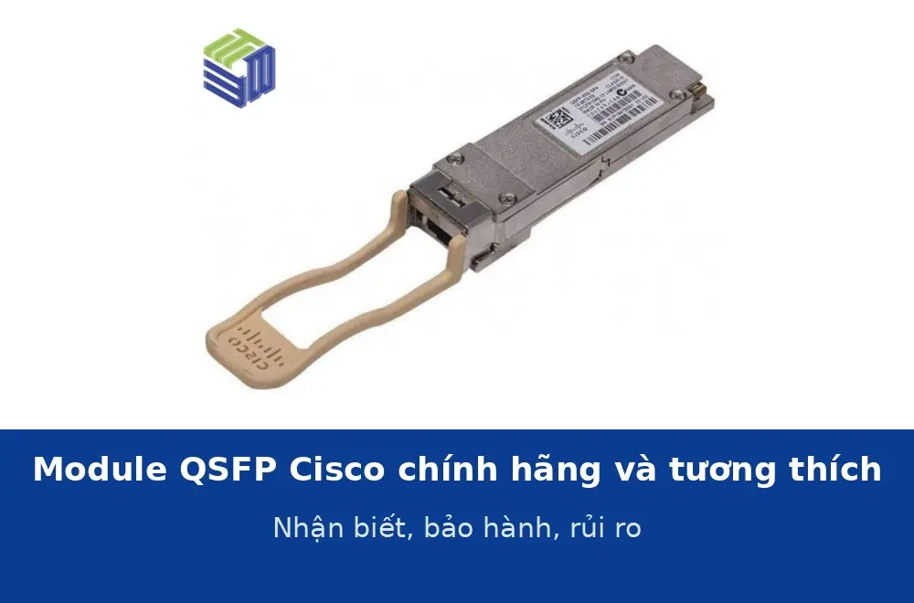 Module QSFP Cisco chính hãng và module tương thích: nhận biết, bảo hành và rủi ro khi dùng hàng không chính hãng