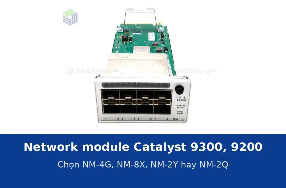 Network module cho Catalyst 9300, 9200 là gì? Chọn NM-4G, NM-8X, NM-2Y hay NM-2Q