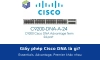 Giấy phép Cisco DNA là gì? Essentials, Advantage và Premier khác nhau thế nào