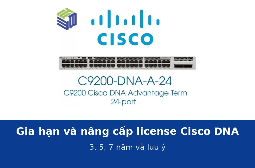 Gia hạn và nâng cấp license Cisco DNA 3, 5, 7 năm: quy trình, thời điểm và những điều cần lưu ý