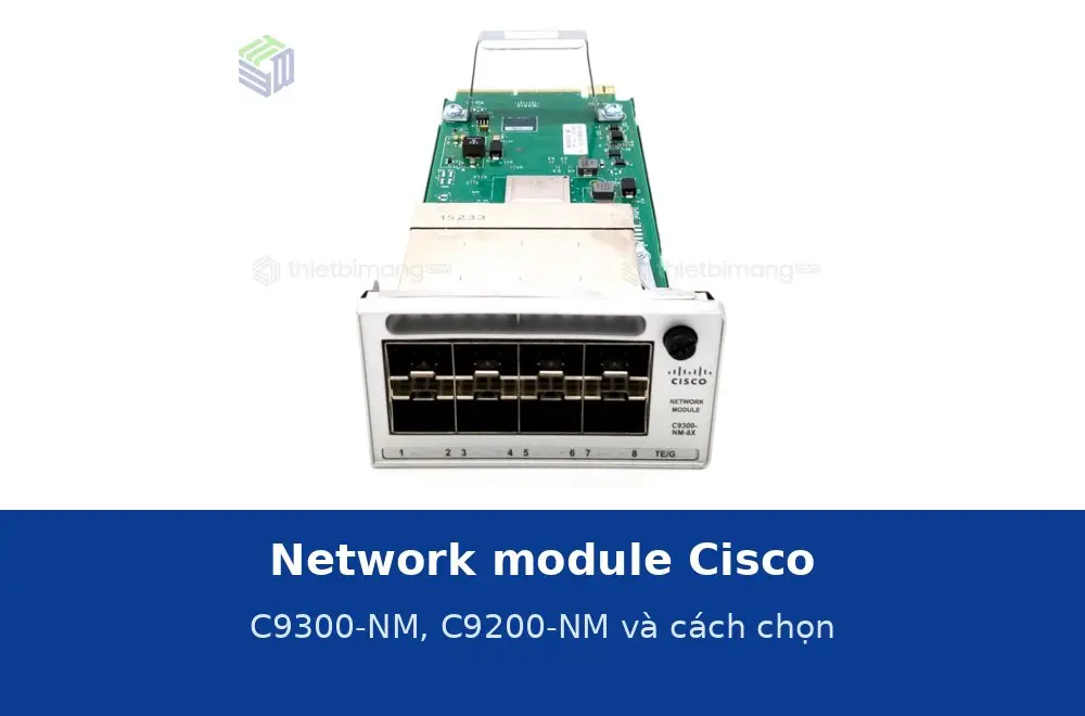 Network module Cisco C9300-NM, C9200-NM là gì? Các mã và cách chọn theo uplink