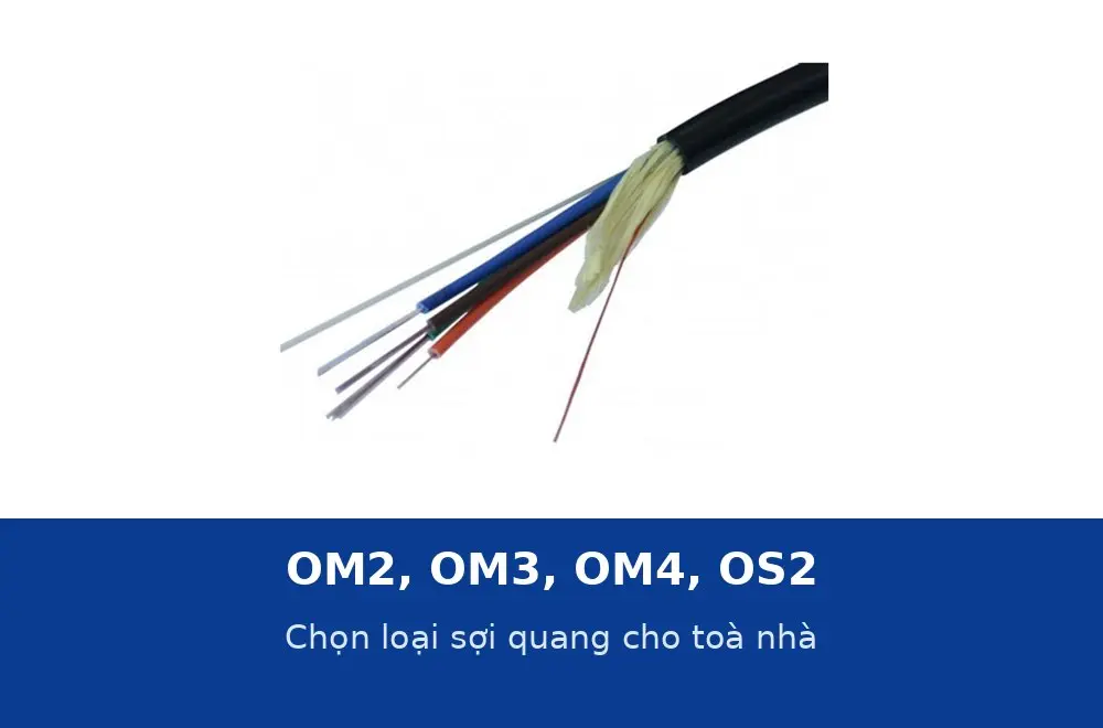 OM2, OM3, OM4 và OS2 khác nhau thế nào? Chọn loại sợi quang cho toà nhà