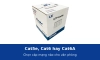 Cat5e, Cat6 hay Cat6A: chọn cáp mạng nào cho văn phòng và chênh lệch chi phí